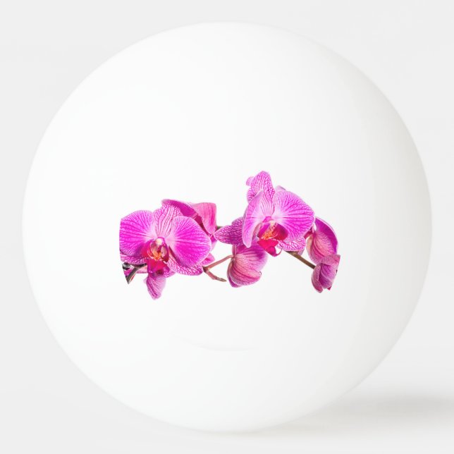 Orchidee Tischtennisball (Rückseite)
