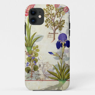 Orchidee u. Fumitory oder Herz-Hedera u. Iris Case-Mate iPhone Hülle