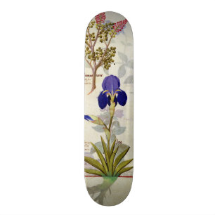 Orchidee u. Fumitory oder Herz-Hedera u. Iris Skateboard