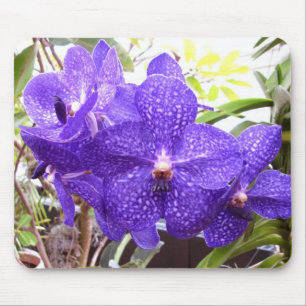 Orchidee Vandas Pachara Mousepad