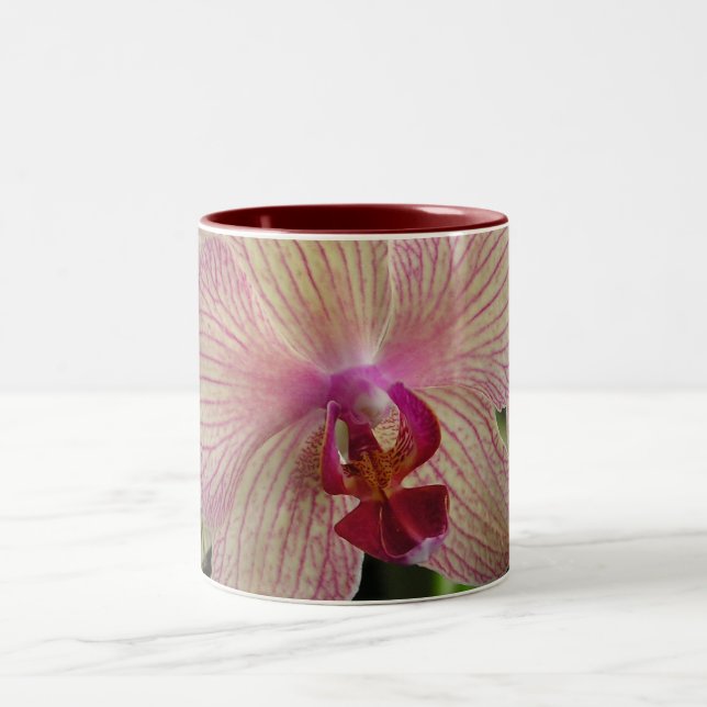 Orchidee Zweifarbige Tasse (Mittel)