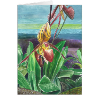 Orchideen