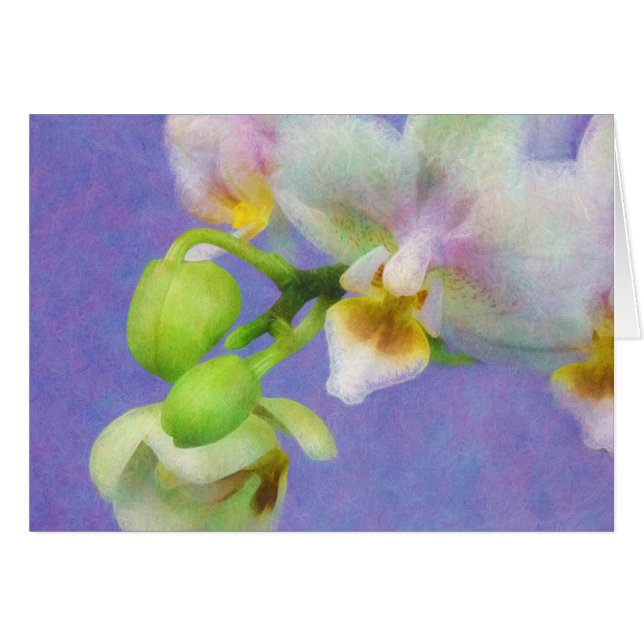 Orchideen (Vorderseite (Horizontal))