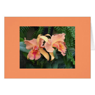 Orchideen