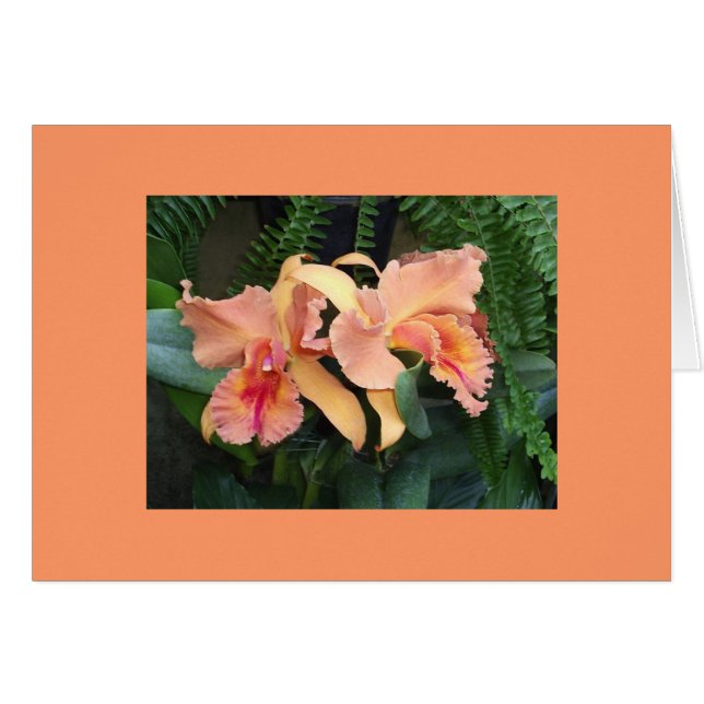 Orchideen (Vorderseite (Horizontal))