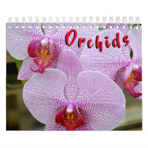 Orchideen-12-monatiger Kalender