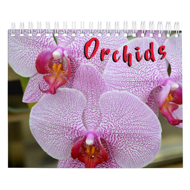 Orchideen-12-monatiger Kalender (Titelbild)