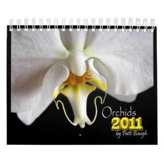 ORCHIDEEN 2011 KALENDER
