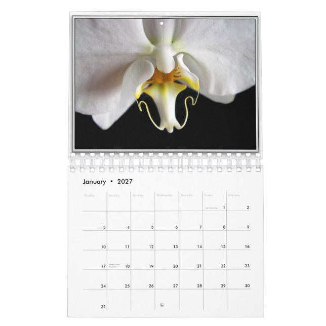 ORCHIDEEN 2011 KALENDER (Jan 2027)