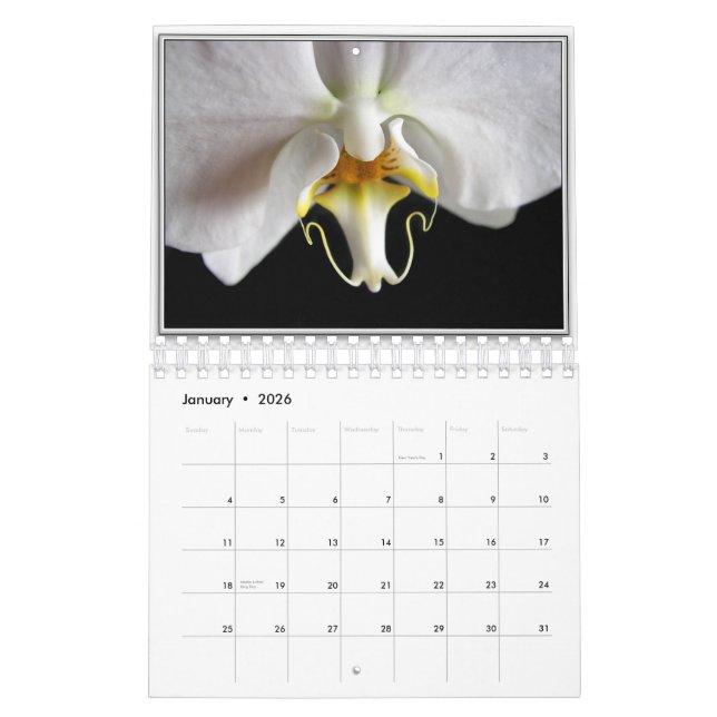 ORCHIDEEN 2011 KALENDER (Jan 2026)