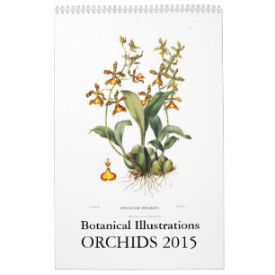 Orchideen 2015 kalender