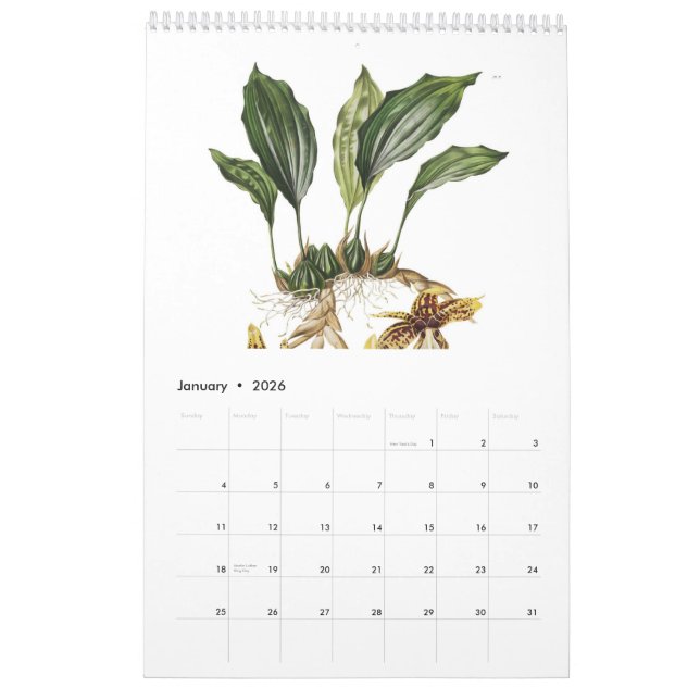 Orchideen 2015 kalender (Jan 2026)