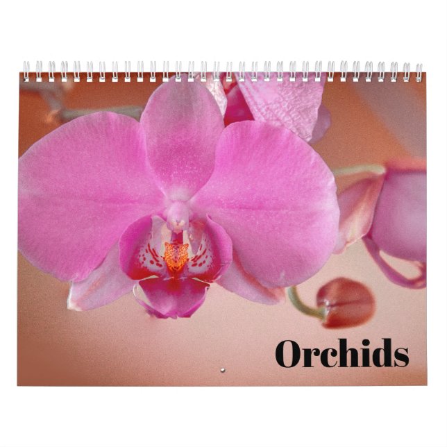 Orchideen 2025 kalender (Titelbild)