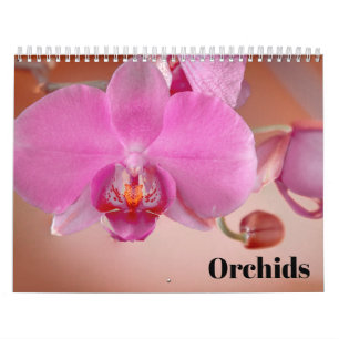 Orchideen 2025 kalender