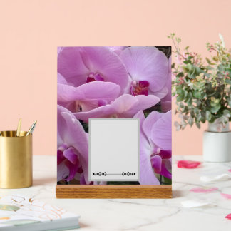Orchideen Acrylschild
