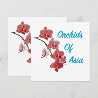 Orchideen Asiens Day Spa