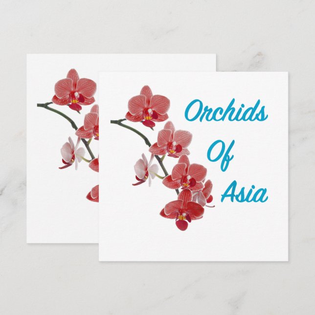 Orchideen Asiens Day Spa (Vorne/Hinten)