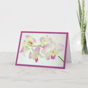 Orchideen auf Weiß, Alles Gute zum Geburtstag! Karte