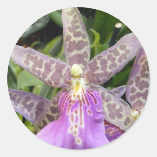 Orchideen-Aufkleber Runder Aufkleber