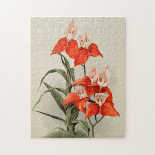 Orchideen blühende Blume Vintage alte Illustration Puzzle