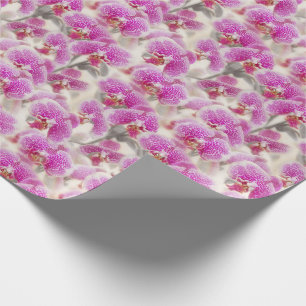 Orchideen Blume Rosa Bläschen Geschenkpapier