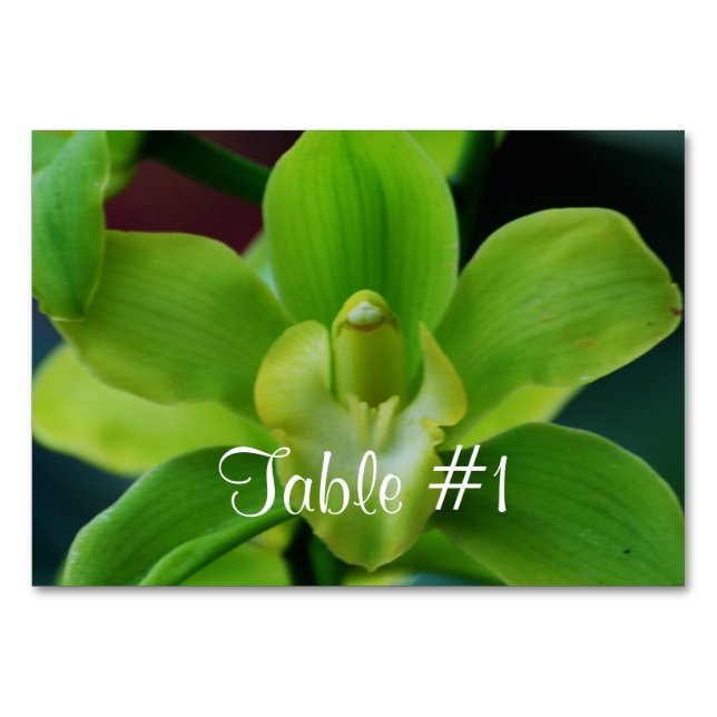 Orchideen-Blume Tischnummer (Vorderseite)
