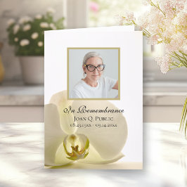 Orchideen-Blume über den Weißbeerdienst Programm