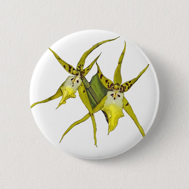 Orchideen-Blumen Button (Vorderseite)