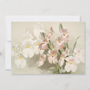 Orchideen-Blüten-Vintage-Alt-Illustration Karte