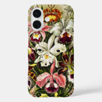 Orchideen Denusblumen Ernst Haeckel
