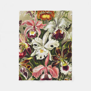 Orchideen Denusblumen Ernst Haeckel Fleecedecke