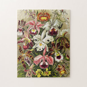 Orchideen Denusblumen Ernst Haeckel Puzzle