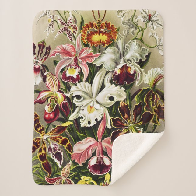Orchideen Denusblumen Ernst Haeckel Sherpadecke (Vorderseite)