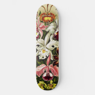 Orchideen Denusblumen Ernst Haeckel Skateboard