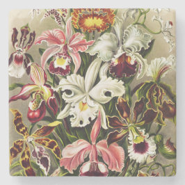 Orchideen Denusblumen Ernst Haeckel Steinuntersetzer