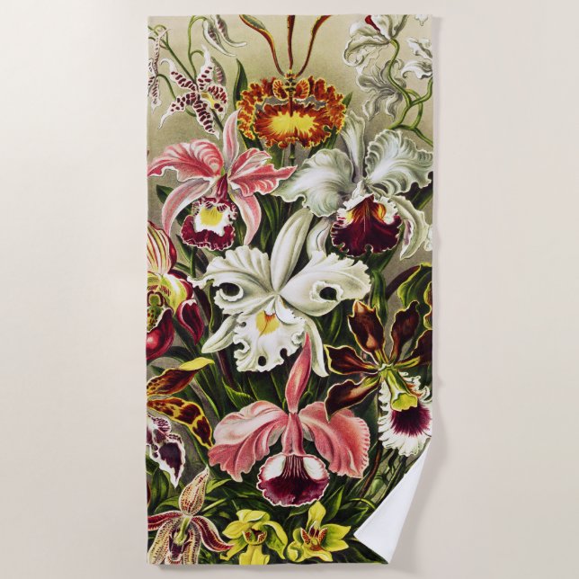 Orchideen Denusblumen Ernst Haeckel Strandtuch (Vorderseite)