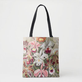 Orchideen Denusblumen von Ernst Haeckel