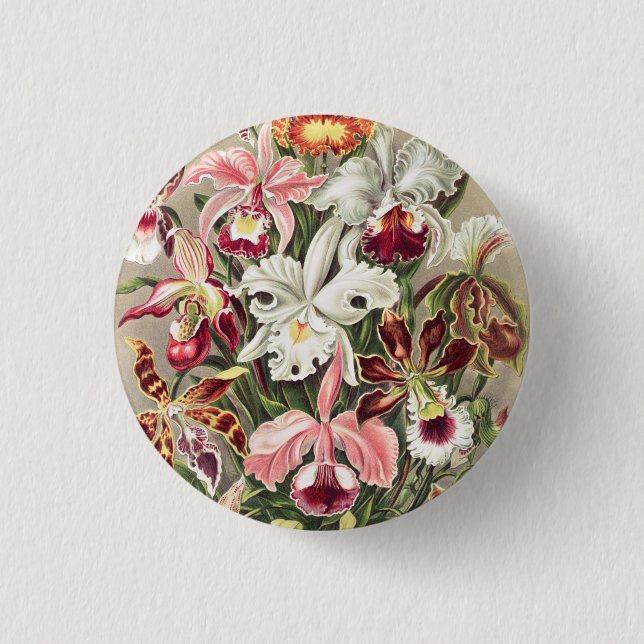 Orchideen Denusblumen von Ernst Haeckel Button (Vorderseite)