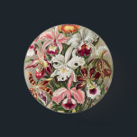 Orchideen Denusblumen von Ernst Haeckel Button<br><div class="desc">Orchideen Denusblumen von Ernst Haeckel Button</div>