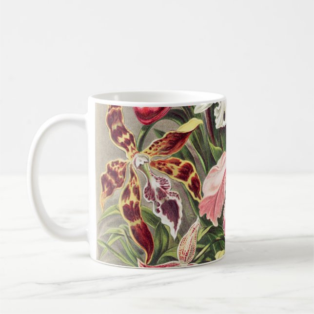 Orchideen Denusblumen von Ernst Haeckel Kaffeetasse (Links)