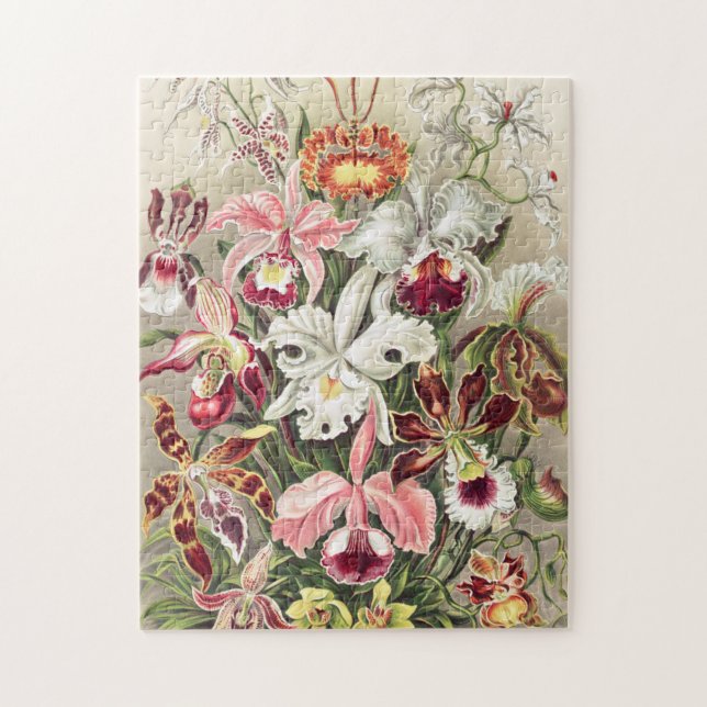 Orchideen Denusblumen von Ernst Haeckel Puzzle (Vertikal)