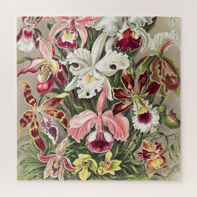 Orchideen Denusblumen von Ernst Haeckel Puzzle (Vertikal)