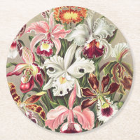 Orchideen Denusblumen von Ernst Haeckel