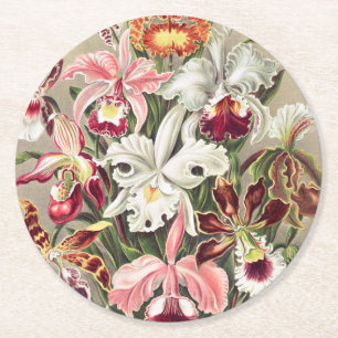 Orchideen Denusblumen von Ernst Haeckel Runder Pappuntersetzer
