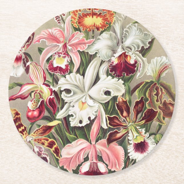 Orchideen Denusblumen von Ernst Haeckel Runder Pappuntersetzer (Vorderseite)