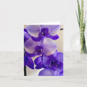 Orchideen Einladung
