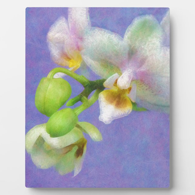 Orchideen Fotoplatte (Vorderseite)