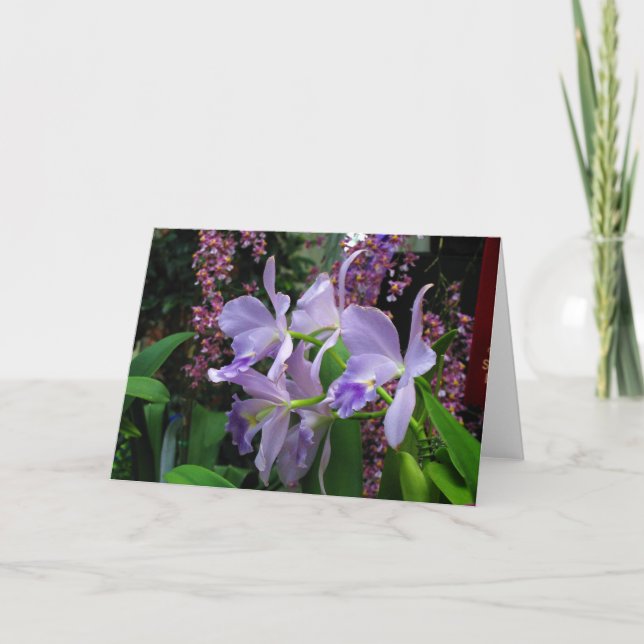 Orchideen-Gruß-Karte Karte (Vorderseite)