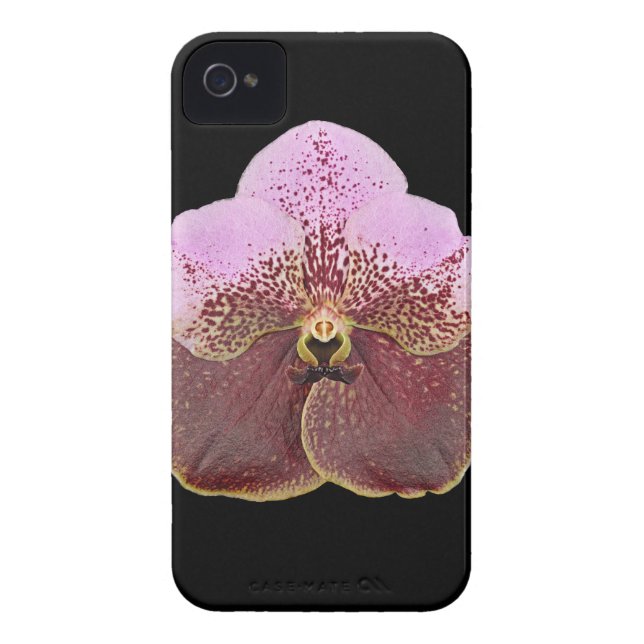 Orchideen-Handy-Fall, iPhone 4 Case-Mate iPhone Hülle (Rückseite)