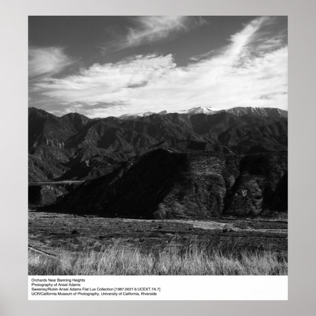 Orchideen in der Nähe des Heiratsverbots durch Ans Poster (Vorne)